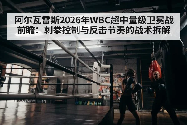 boxer training gym